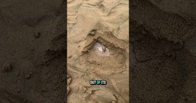 Découvrez le #Luckygameplay : le jeu qui change tout !