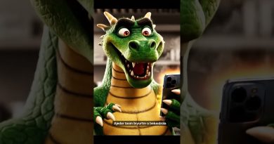 Découvrez le Somsa : un délice culinaire à savourer !