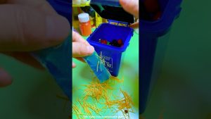 Découvrez le "VitalWear SmartBand", le bracelet connecté de demain !