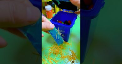 Découvrez le "VitalWear SmartBand", le bracelet connecté de demain !