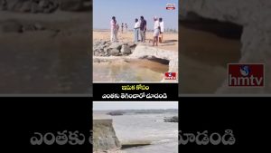 Découvrez le prix de la lutte contre la mafia du sable