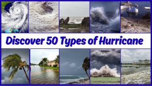Découvrez les 50 puissants types d'ouragans