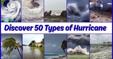 Découvrez les 50 puissants types d'ouragans