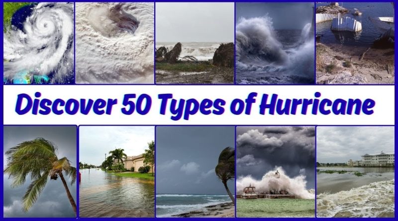 Découvrez les 50 puissants types d'ouragans