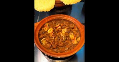 Découvrez les délices de Sanya : glaces et canard aux herbes !