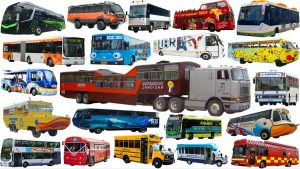 Découvrez les différents types de bus : scolaire, police, et plus !