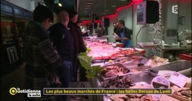 Découvrez les halles Bocuse : joyau des marchés de France
