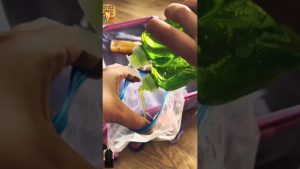 Découvrez nos meilleures astuces pratiques !