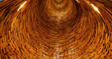 education, cours, school