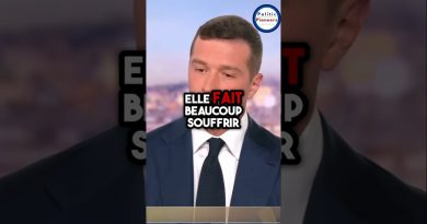 Défis Actuels de la Politique Française : Analyse #shorts