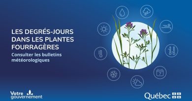Degrés-jours et plantes fourragères : Guide des bulletins météo