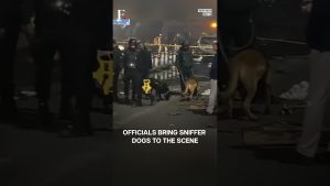 Delhi : NIA et NSG enquêtent sur l'explosion au Fort Rouge