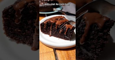 Délicieux Moelleux au Chocolat Végétalien 🍫