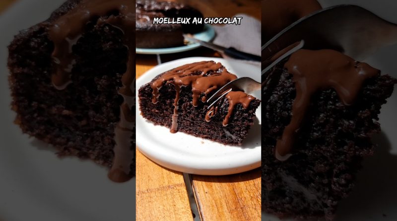 Délicieux Moelleux au Chocolat Végétalien 🍫