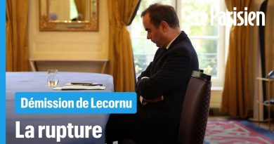 Démission du gouvernement Lecornu : les causes du désastre
