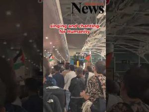 Des activistes portugais font leur retour à Lisbonne