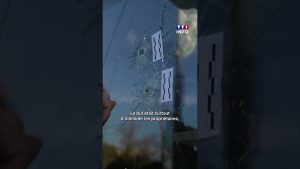 Des commerçants victimes de la DZ Mafia : enquête TF1