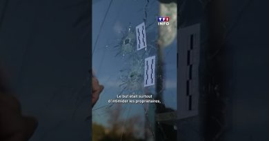 Des commerçants victimes de la DZ Mafia : enquête TF1