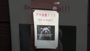 Des drones aboyeurs au Japon pour éloigner les ours en ville