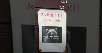 Des drones aboyeurs au Japon pour éloigner les ours en ville