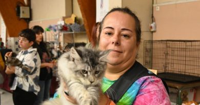 Des juges, des cocardes et des ronrons : la passion féline en vedette du Salon du chat à Millau