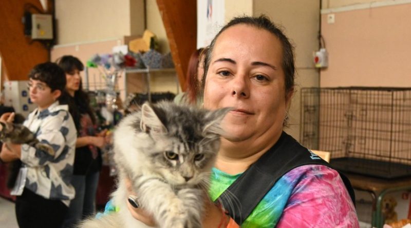 Des juges, des cocardes et des ronrons : la passion féline en vedette du Salon du chat à Millau