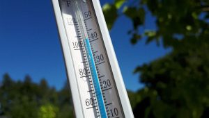 illustration agrandir l