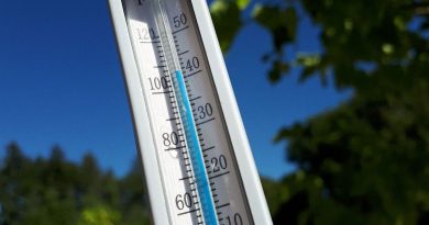 illustration agrandir l