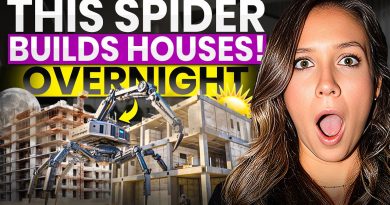 Des robots araignées construisent des maisons en une nuit