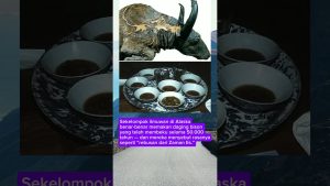 Des scientifiques découvrent un bison vieux de 50 000 ans !