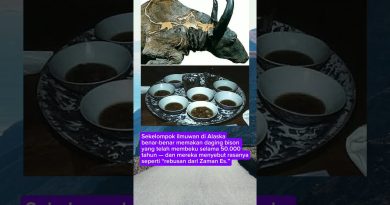 Des scientifiques découvrent un bison vieux de 50 000 ans !