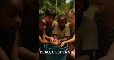 Des semaines sans eau potable en Guadeloupe : un cri d'alarme