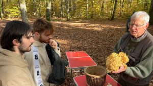 illustration agrandir l