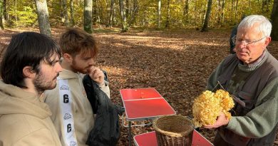 illustration agrandir l