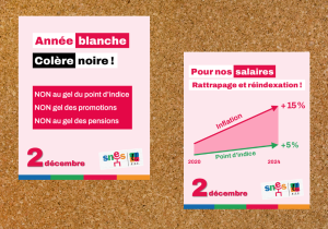 Année blanche : la colère monte chez les enseignants du SNES-FSU