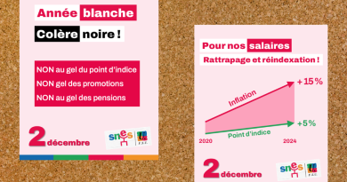Année blanche : la colère monte chez les enseignants du SNES-FSU