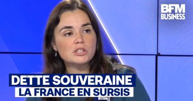 Dette en France : Risque de crise, moyens insuffisants