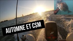 Deux aventures de chasse sous-marine en Bretagne cet automne