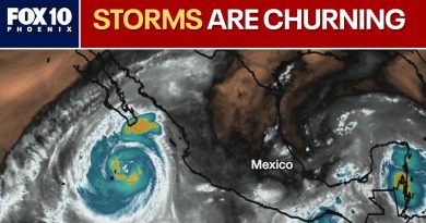 Développement de l'ouragan Priscilla et de la tempête Octave