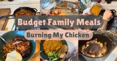 Dîners Familiaux Économiques : Une Semaine de Repas Sains