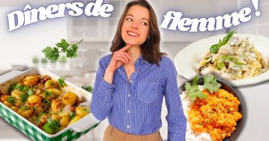Dîners équilibrés : recettes rapides et économiques !