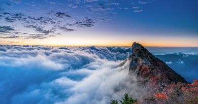 Occitanie, Toulouse, Montpellier, landscape, sea, mountain, vineyard, canal