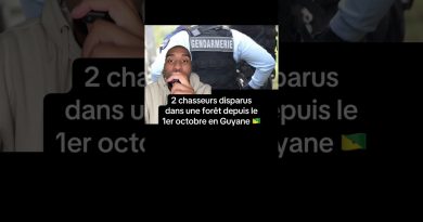 Disparition de 2 chasseurs en forêt en Guyane depuis le 1er octobre