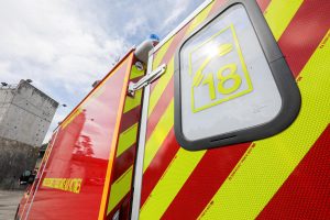 Dognen : les pompiers sauvent un chien tombé dans le gave d’Oloron