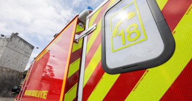 Dognen : les pompiers sauvent un chien tombé dans le gave d’Oloron