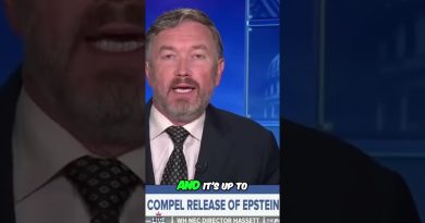 Dossiers Epstein : Qui est impliqué et que reste-t-il ?