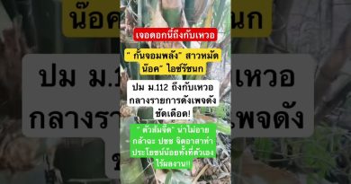 Duet Électro : Le Remix Musical Inspiré par l'Automobile