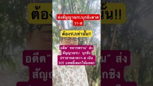 Duet Électro : Le Remix Musical qui Fait Vibrer l'Automobile