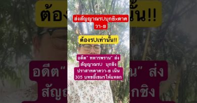 Duet Électro : Le Remix Musical qui Fait Vibrer l'Automobile