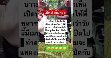 Duet Électro : Le Remix qui Fait Vibrer l'Automobile